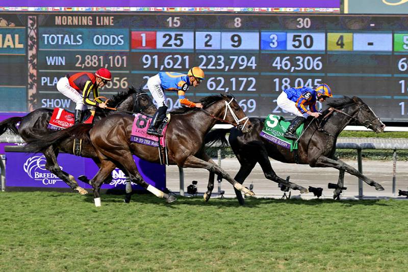 Đặc điểm đường đua