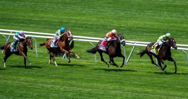 Nghiên cứu thành tích